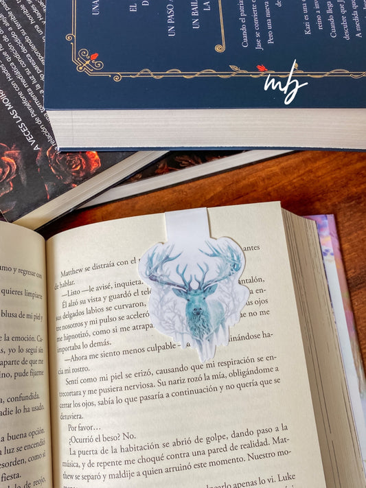 KINGDOM OF ASH BOOKMARK, AELIN ARSHYVER GALANTHYNIUS, THRONE OF GLASS, SARAH J MAAS